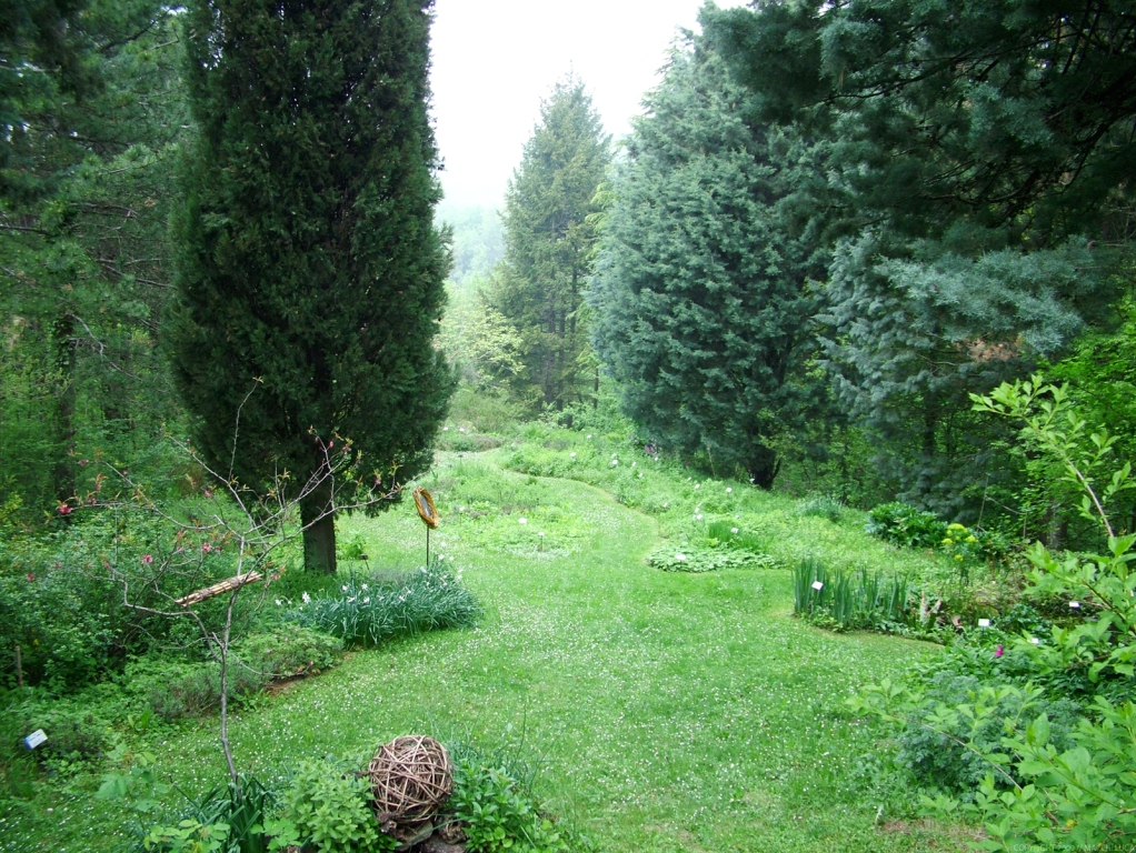 il giardino con le piante officinali di nova arbora