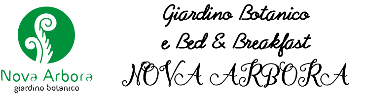 Nova arbora